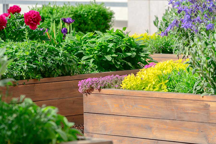 Raised flower beds in a mature garden